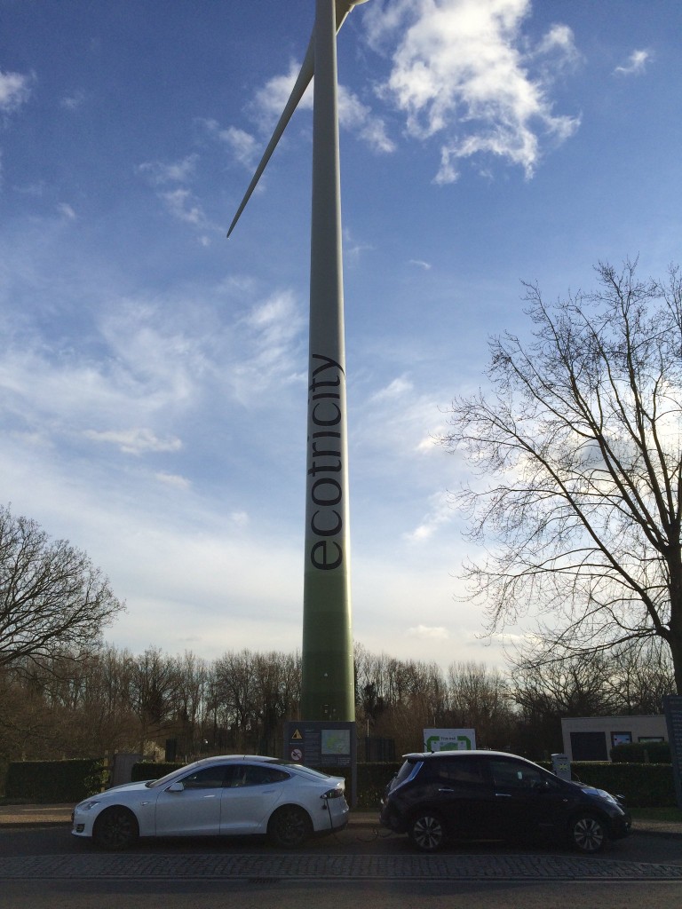 leaf-and-model-s-windmill