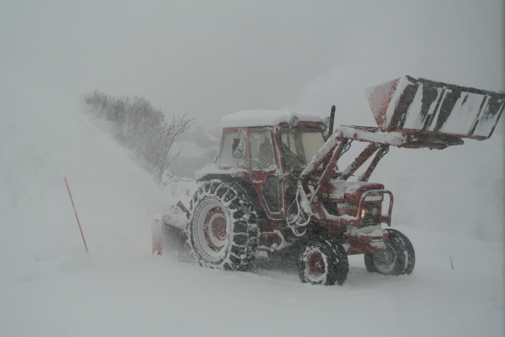 Tractor with snow plow